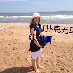 《打扑克无马赛克》高清不卡在线观看 （探头）