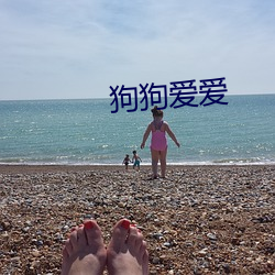 狗狗爱爱