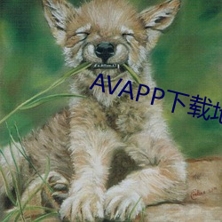 AVAPPdַ