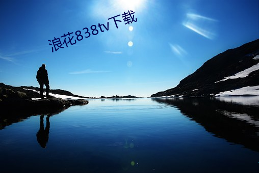 浪花838tv下载