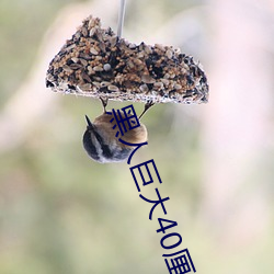 黑人巨大40厘米重口ysn
