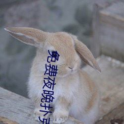 尊龙凯时-人生就是搏!