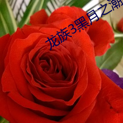 龙族3黑月之(之)潮下