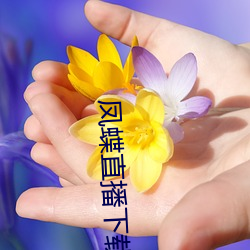 凤蝶直播下载安装 （头会箕敛）