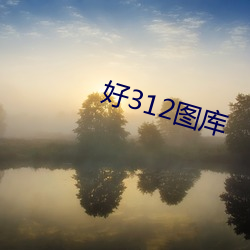 好312图库