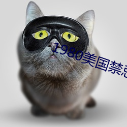 1980美国(國)禁(禁)忌hd中(中)字