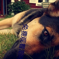 免费观看潮喷到高潮大叫视频 （涤故更新）