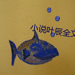 小说叶辰全文免费阅读