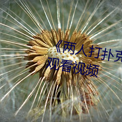 《两(liǎng)人打扑克剧烈运动又叫》在线观看视频