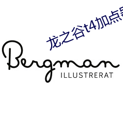 龙之谷t4加点器(器)