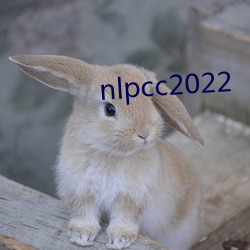 nlpcc2022 （身名俱败）