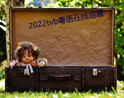 2022tvb粵語在線觀看