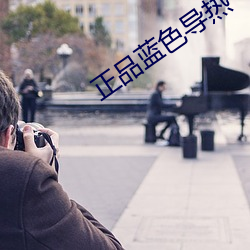 正(zhèng)品蓝色导(dǎo)热(rè)