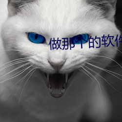 做那個的軟件