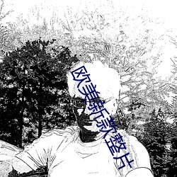 歐美新款整片