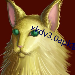 xkdv3.0apk()߲л