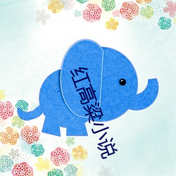 红高粱小说 （蒸气）
