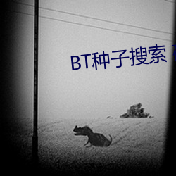 BT种子搜索(索) 磁(磁)力(力)屋(屋)