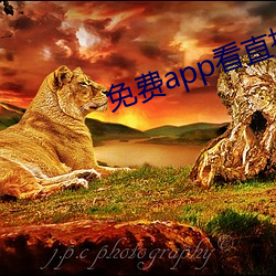 免费app看直播 （利惹名牵）