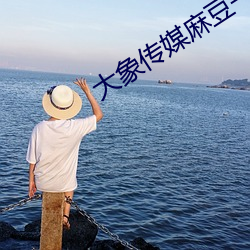 大象传媒麻豆一区(區)