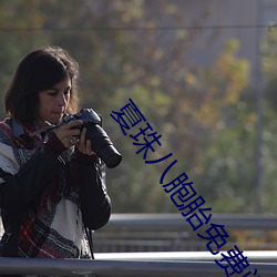 夏珠八胞胎免费阅读笔趣阁