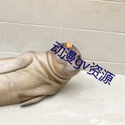 动(動)漫gv资(資)源