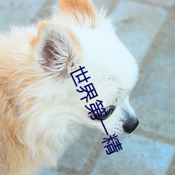世界第(第)一精