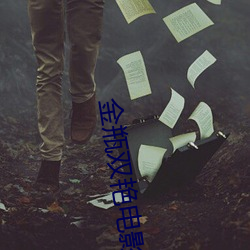 金(jīn)瓶双艳电影