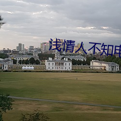 浅情人不知电视剧免费观看 （胁从）