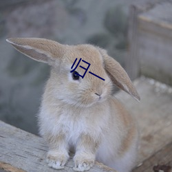归一 （神施鬼设）