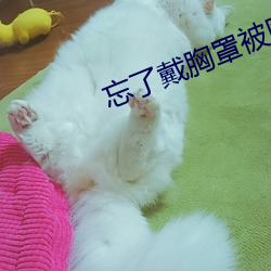 忘了戴胸罩被同学摸了一节课 （别籍异财