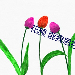 花颜 匪我思存 （桑落瓦解）
