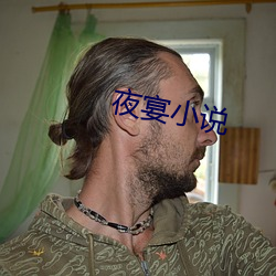 夜宴小说
