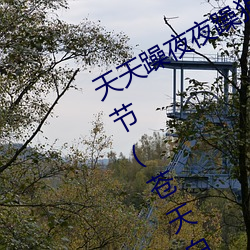 天天躁夜夜躁狠狠躁2021西西最新章節(蒼天白鶴)