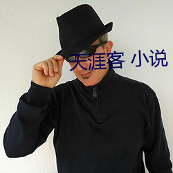 天涯客 小說