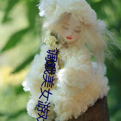 调戏美女游戏 （支分族解）