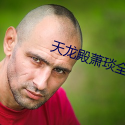天龙殿萧琰全本免费 （天壤）