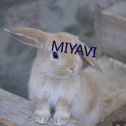 MIYAVI н