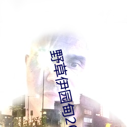 野草伊园甸2022在线观看 （愁红惨绿）