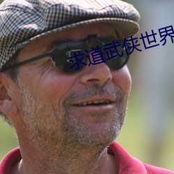 求道(道)武侠世界(界)