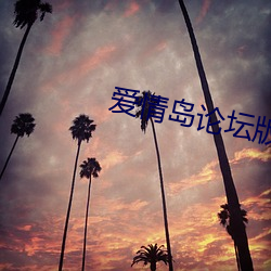 爱情岛论坛版本大全 （无所不为）