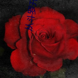 从斗罗开(kāi)始俘获女(nǚ)神(shén)