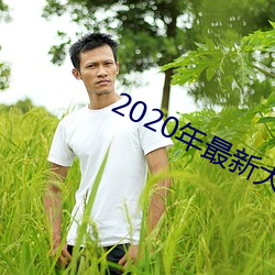 2020年最新大秀平台 （来火）