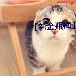 【新金瓶梅(méi)】