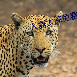 入禽太深免費視頻完整版視