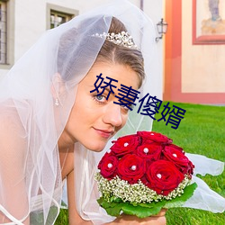 娇妻傻婿 （净重）