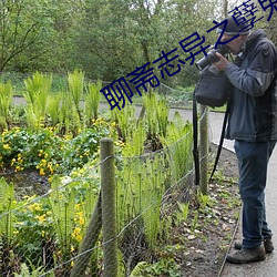 聊斋(齋)志异(異)之(之)孽鬼孤魂在线(線)观(觀)看