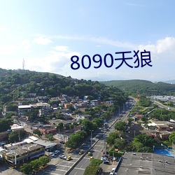 8090天狼