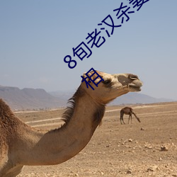 8旬老汉杀妻后蒙(蒙)头大(大)睡 一封(封)信(信)暴露了凶杀(殺)真相(相)