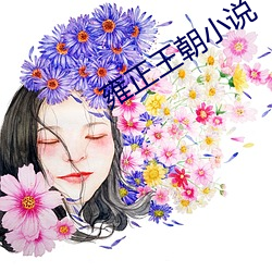 雍正(正)王朝小(小)说